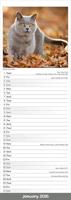Katten Kalender 2026 Slimline - thumbnail