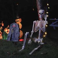 Halloween Skelet Verstelbaar 2 pcs Wit 85 cm PVC - thumbnail