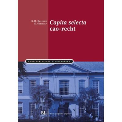 Capita selecta cao-recht - E. Verhulp, R.M. Beltzer - Paperback (9789089746993)