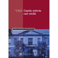 Capita selecta cao-recht - E. Verhulp, R.M. Beltzer - Paperback (9789089746993) - thumbnail