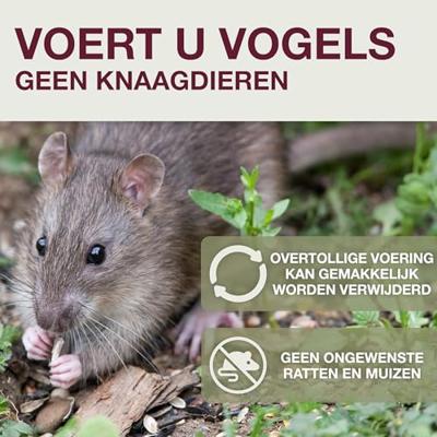 Swissinno Lucerne Hellgrau für Maisenknödel Voedersilo 700 g Lichtgrijs 1 stuk(s) 1 821 001