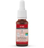 Bach bloesems mengeling 46 boosheid bio 20 Milliliter - thumbnail