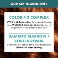 Alfaparf Semi di Lino Reconstruction Reparative Low Shampoo 1000ml - thumbnail