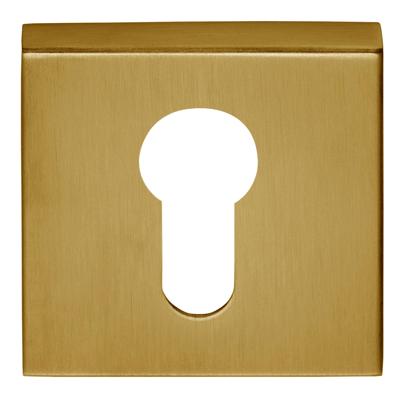 Formani | Cilinderplaatje BASIC BSQY53 | PVD mat Goud