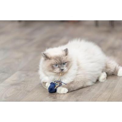 Trixie zeedier pluche met catnip assorti