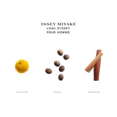 Issey Miyake L&apos;Eau D&apos;Issey Pour Homme Shower Gel 200ml Douche & bad Heren
