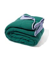 HEMA Bedsprei jersey streep groen/lila 260x235 (groen) - thumbnail