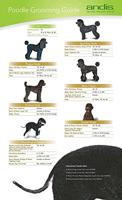 Reservescheermesje Andis S-40 Hond Keramisch 0,25 mm - thumbnail