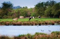 Polder 140x90cm Tuindoek Customize-it - Customize it - thumbnail