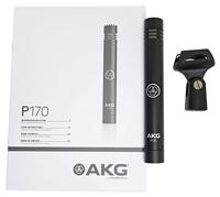 AKG Project Studio P170 pencil condensatormicrofoon - thumbnail