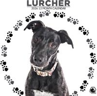 Lurcher Kalender 2026 - thumbnail