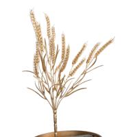 Decoratietak Tarwe Goud 43cm - thumbnail