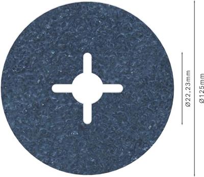Bosch Accessories 2608606731 Fiberschijf Diameter 125 mm 1 stuk(s) Bosch Accessories 2608606731 Fiberschijf Diameter 125 mm 1 stuk(s)
