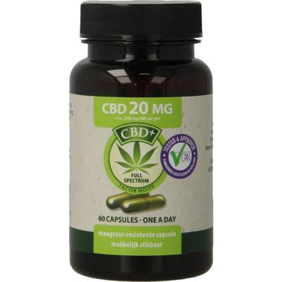 Jacob Hooy CBD+ 20mg Capsules Jacob Hooy CBD+ 20mg Capsules