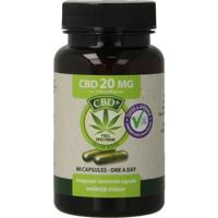 Jacob Hooy CBD+ 20mg Capsules - thumbnail