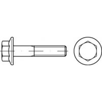 TOOLCRAFT TO-5391492 Zeskantbout M10 60 mm Buitenzeskant Staal Galvanisch verzinkt 100 stuk(s) - thumbnail