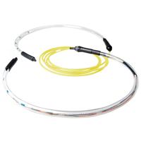 ACT 40 meter Singlemode 9/125 OS2 indoor/outdoor kabel 8 voudig met LC connectoren - thumbnail