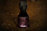 Excellent Horse Hi Gloss Glitter Hoof Polish Pink 150 ml - thumbnail