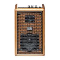 Acus ONE-5F One For Strings 5 Ferdi 70W Natural akoestische gitaarversterker - thumbnail