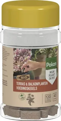 Pokon Bio Terras en Balkon Planten Voedingskegels 40st