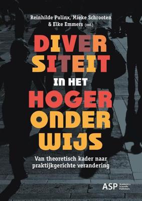 Diversiteit in het hoger onderwijs (Paperback)