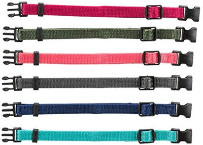 Trixie puppy halsbandset fuchsia/grafiet/indigo/bosgroen/koraal Trixie puppy halsbandset fuchsia/grafiet/indigo/bosgroen/koraal