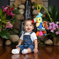 Playgro activiteitenvriend toekan - thumbnail