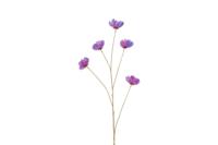 Countryfield kunsttak cosmea 109cm paars, iriserend - thumbnail