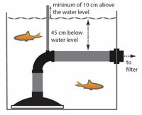 Europond Omgekeerde Bodemdrain 110mm - Efficiënte Vijverontluchting & Gezondheid - thumbnail