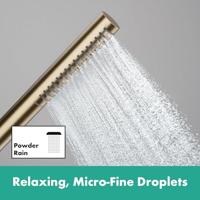 Hansgrohe Pulsify S staafhanddouche 100 1jet EcoSmart, Brushed Bronze - thumbnail