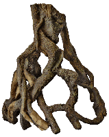 Superfish Mangrove root l l29b22h32cm - thumbnail