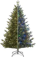 Black Box Trees Burton verlichte kerstboom blauwgroen 215cm, 500 lampjes - thumbnail