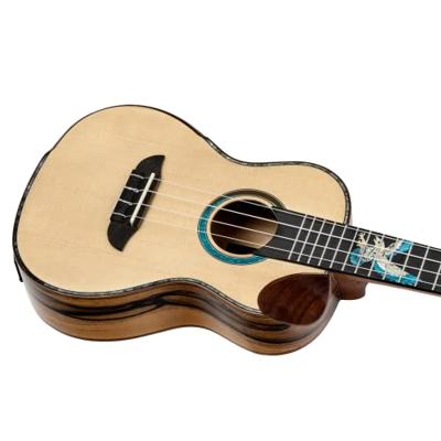 Ortega The Private Room EAGLESUITE-U Concert Ukulele E/A concert ukelele met gigbag