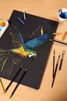 Clairefontaine Painton Mixmedia - Blok - 250 gr - 20 Blad - Zwart - thumbnail