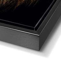 Schilderij Leeuw - 70x118 cm - thumbnail