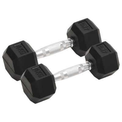 VidaXL Halters 2 st 8 kg totaal gietijzer VidaXL Halters 2 st 8 kg totaal gietijzer