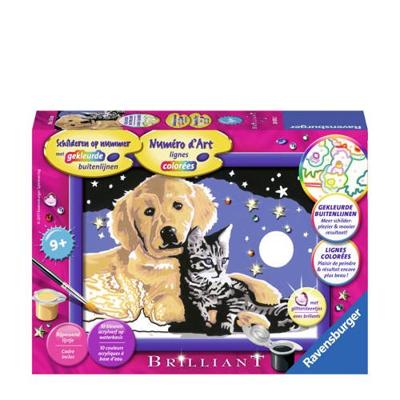 Ravensburger Schilderen op Nummer schitterende sterrenhemel