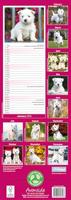 West Highland Terrier Slim Calendar 2026 Dog Breed Slimline Calendar - 12 Month - thumbnail