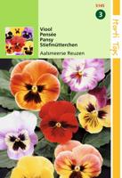 Zaden Viola Viool Aalsmeerse Reuzen Hortitops - Hortitops - thumbnail