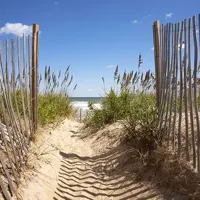 Alexsar Art Tuinschilderij strand pad 70x70cm - thumbnail