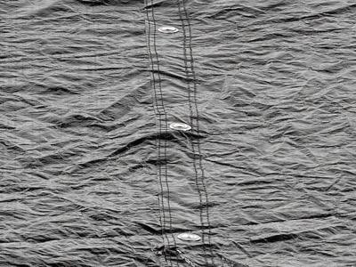 Exit trampoline afdekhoes - 214 x 153 cm