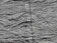 Exit trampoline afdekhoes - 214 x 153 cm - thumbnail