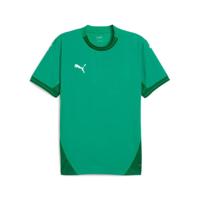 PUMA teamFINAL Voetbalshirt Groen Wit - thumbnail