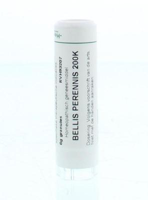 Homeoden Heel Bellis perennis 200K 6 Gram