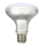 Ledlamp Silver Electronics 999007 R90 E27 Grijs 12 W 3000K - thumbnail