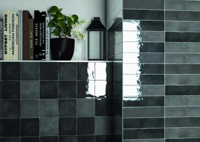 Moos Anthracite handvorm 6,5x26 glans