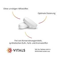 Vitals Ginkgo Biloba Ps 480mg - thumbnail