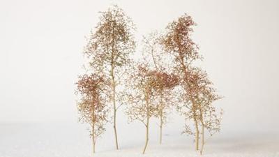 NOCH 23100 Boom (zonder bladeren) 1 stuk(s) NOCH 23100 Boom (zonder bladeren) 1 stuk(s)