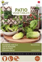 Patio Veggies Romeinse Mini-sla (gemengd) zaden Buzzy - Buzzy - thumbnail