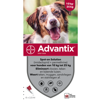 BAYER ADVANTIX SPOT ON 250/1250 10-25 KG - 4 PIP BAYER ADVANTIX SPOT ON 250/1250 10-25 KG - 4 PIP
